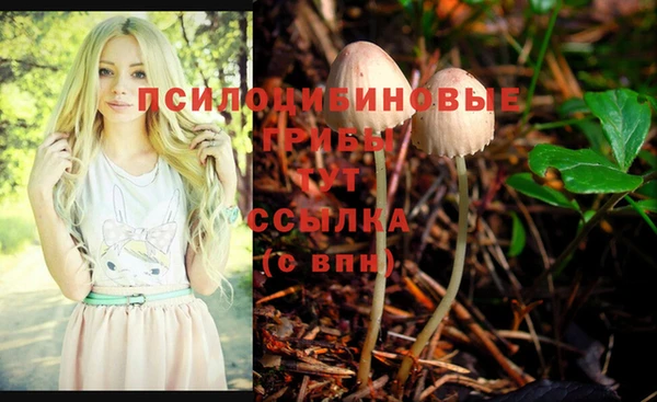 индика Баксан