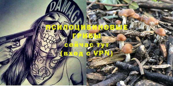 ешки Балахна