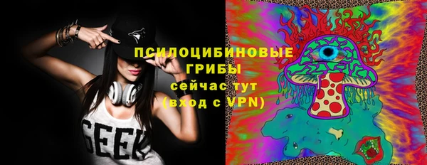ГАЛЛЮЦИНОГЕННЫЕ ГРИБЫ Балабаново