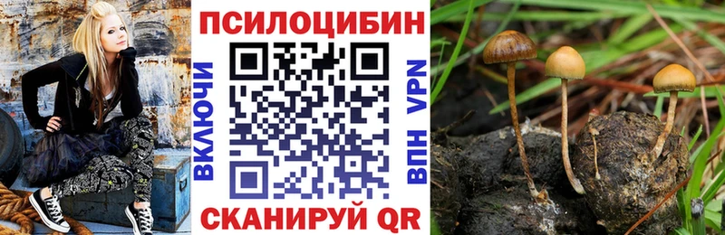 Галлюциногенные грибы MAGIC MUSHROOMS  как найти закладки  блэк спрут ONION  Майский 